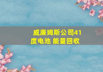 威廉姆斯公司41度电池 能量回收